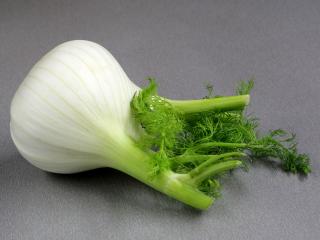 fennel_3