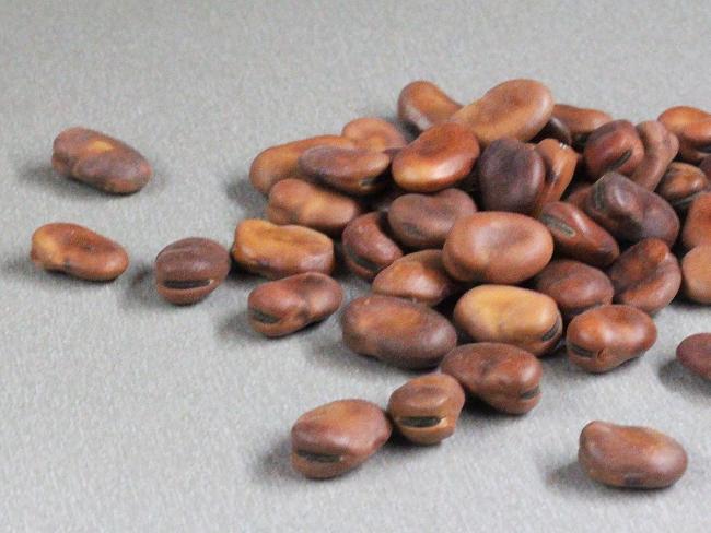 broad-beans.jpg