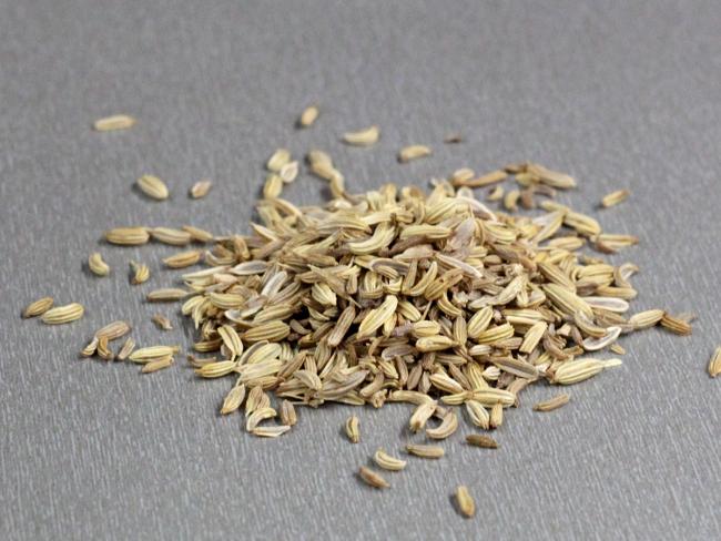 fennel-seeds.jpg