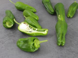 padron-pepper